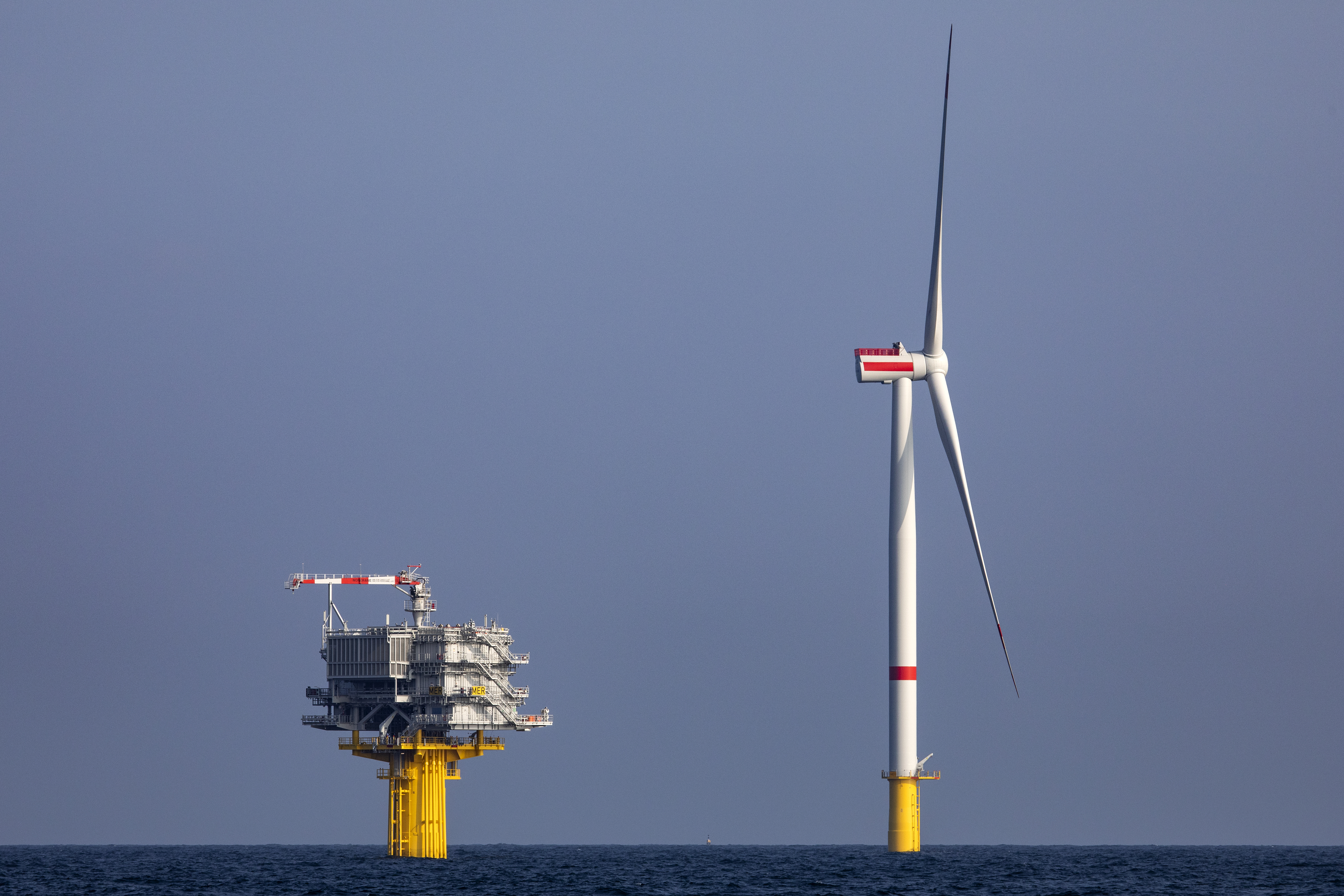 Leg het mij uit | The job Marine Coördinator @ Otary - find out more here!